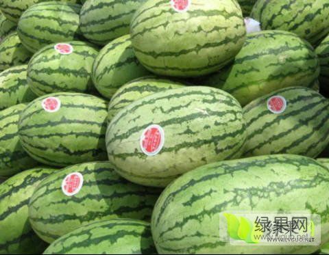 2020年宁夏中宁硒砂瓜价格