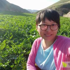 甘肃靖远旱地硒砂瓜7月5号全面上市，欢迎预订