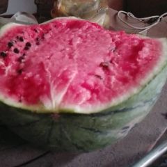 巨鹿河北赫保广7月龙卷风京欣西瓜