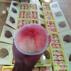中国国家地理标志产品