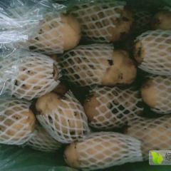 平度土豆大量供应