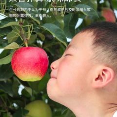 海升集团 嘎啦抢先预订18660180312