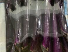 日销30000斤紫长茄，求基地货源