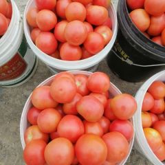 自产自销，价格便宜优惠，