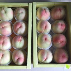 无锡阳山水蜜桃