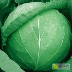 代收各类蔬菜水果