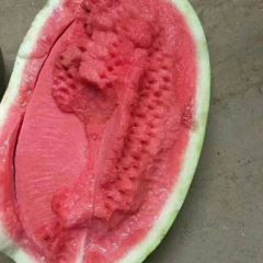 精品秦红208现以大量上市，个头大，皮色漂亮，口感翠甜