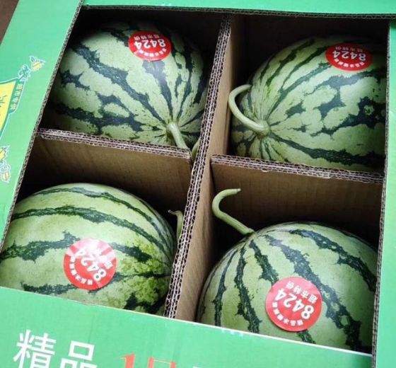 2020年河南扶沟美都价格