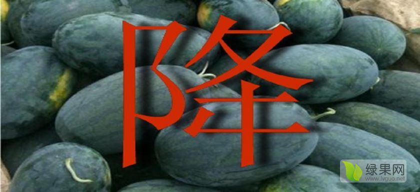 2019年山东东明甜王系列价格