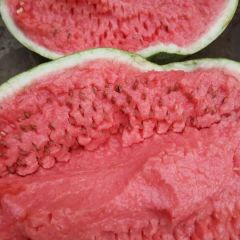 甘肃正宗旱地硒砂瓜