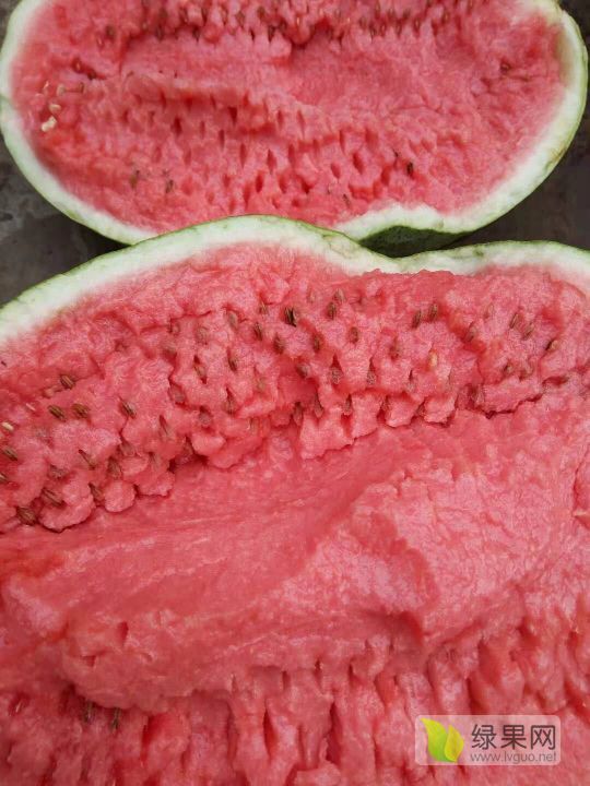 硒砂瓜价格