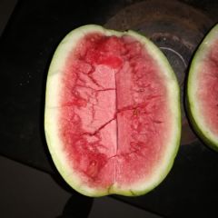 会宁县郭城镇旱砂硒砂西瓜