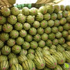 内蒙赤峰老兰 西瓜代购代销