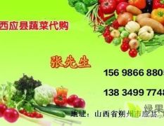 山西应县大量供应四季豆、豆王等各种豆角
