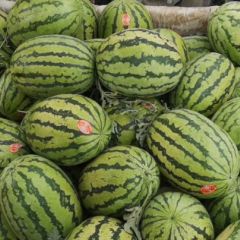 做透明生意、做质量指数、 做好每一个瓜的质量