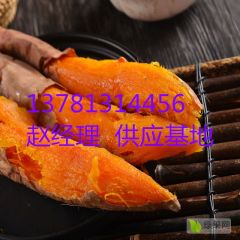 烟薯25常年供应规格可选保证质量口感