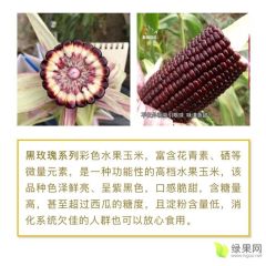 花青素冰糖水果玉米