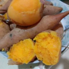 专供1-3两的小薯（龙九！西瓜红！双季）