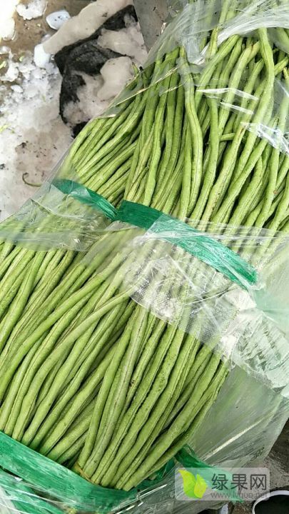 2019年广东东莞豇豆价格