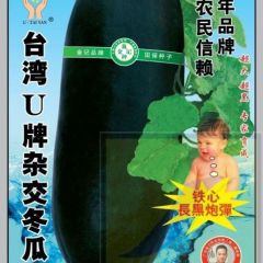 广东铁心台湾U牌杂交黑皮冬瓜种子688-30