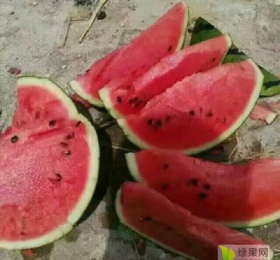 甜王系列价格