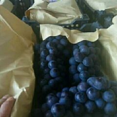 京亚葡萄大量上市，欢迎来访