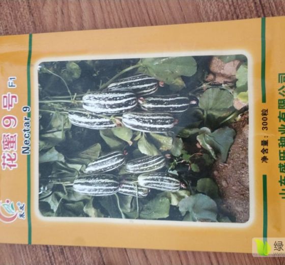 2019年山东历城花蜜九号价格