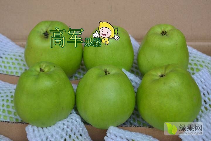 2019年陕西蒲城早酥梨价格