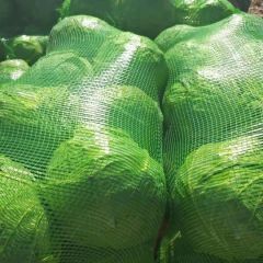 常年代办各类蔬菜，货源充足