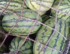 寻求客商.长期合作.