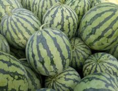 寻求客商，长期合作，