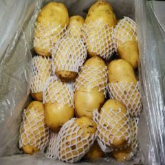 大量供应冷库荷叶土豆