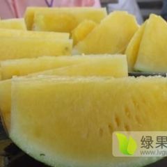 自家种植，大量出售小凤西瓜，便宜，便宜，便宜出售