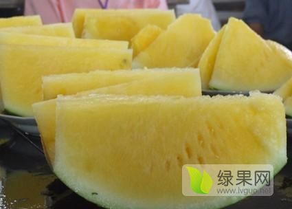 特小凤价格