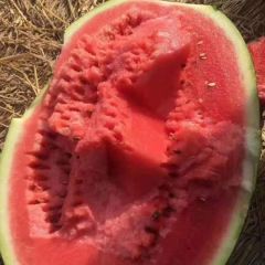 甜甜的味道，欢迎选购！