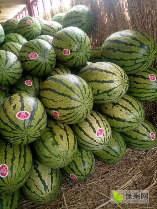 花皮无籽价格