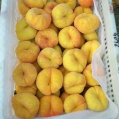 山东平邑脆甜的黄金毛蟠桃