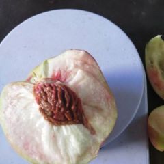 大量供应富硒离核毛桃，需要的老板联系
