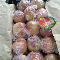 稷山县硬肉甜桃 耐运输