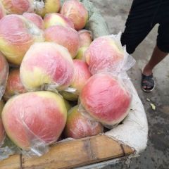 嘎啦苹果美八苹果黄金帅苹果 价格1.5元