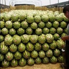 诚信第一，客户至上