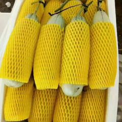 精品博洋61大量上市中