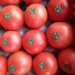 山东省聊城市侯营镇田庄村