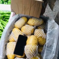 专业代销土豆，山东江门惠州土豆