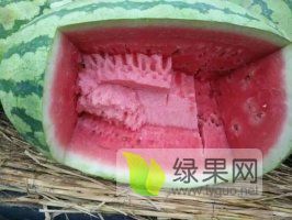 庆阳西瓜来啦 ！！！优质货源！！！