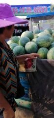 5-8接斤的小瓜成熟度好瓜瓤好甜度高价格便宜