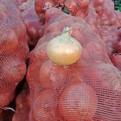 凌海市赵二代办