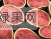供应凌海，甜王，京欣西瓜