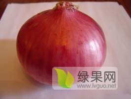 供应凌海洋葱，品质好