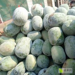 精品水果冬瓜一次合作终身朋友